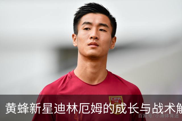 黄蜂新星迪林厄姆的成长与战术解析